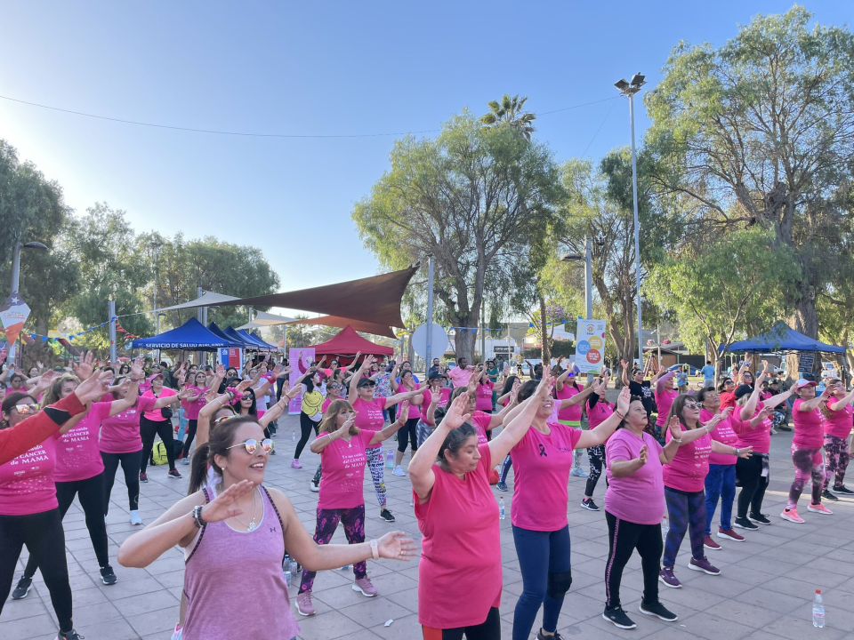 /zumbaton-rosa-por-el-cancer-de-mama-en-parque-schneider-de-copiapo