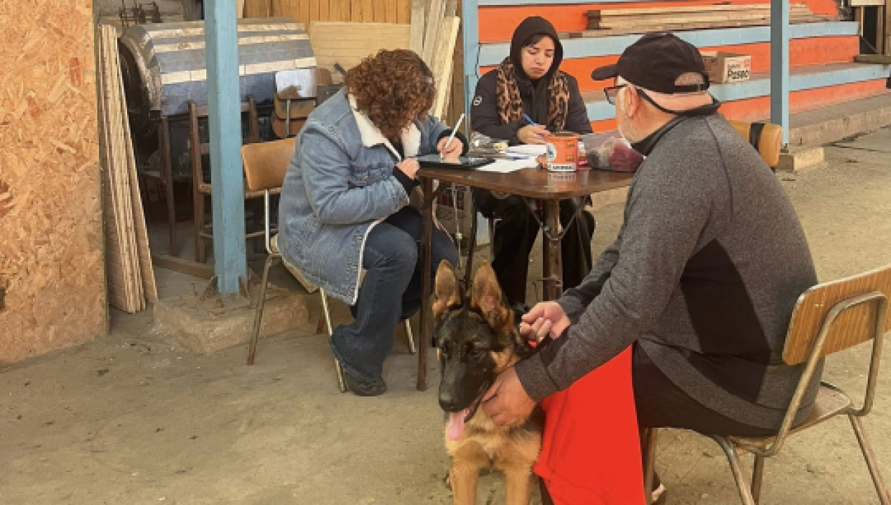 /ada-realiza-su-76-operativo-de-esterilizacion-y-castracion-a-bajo-costo