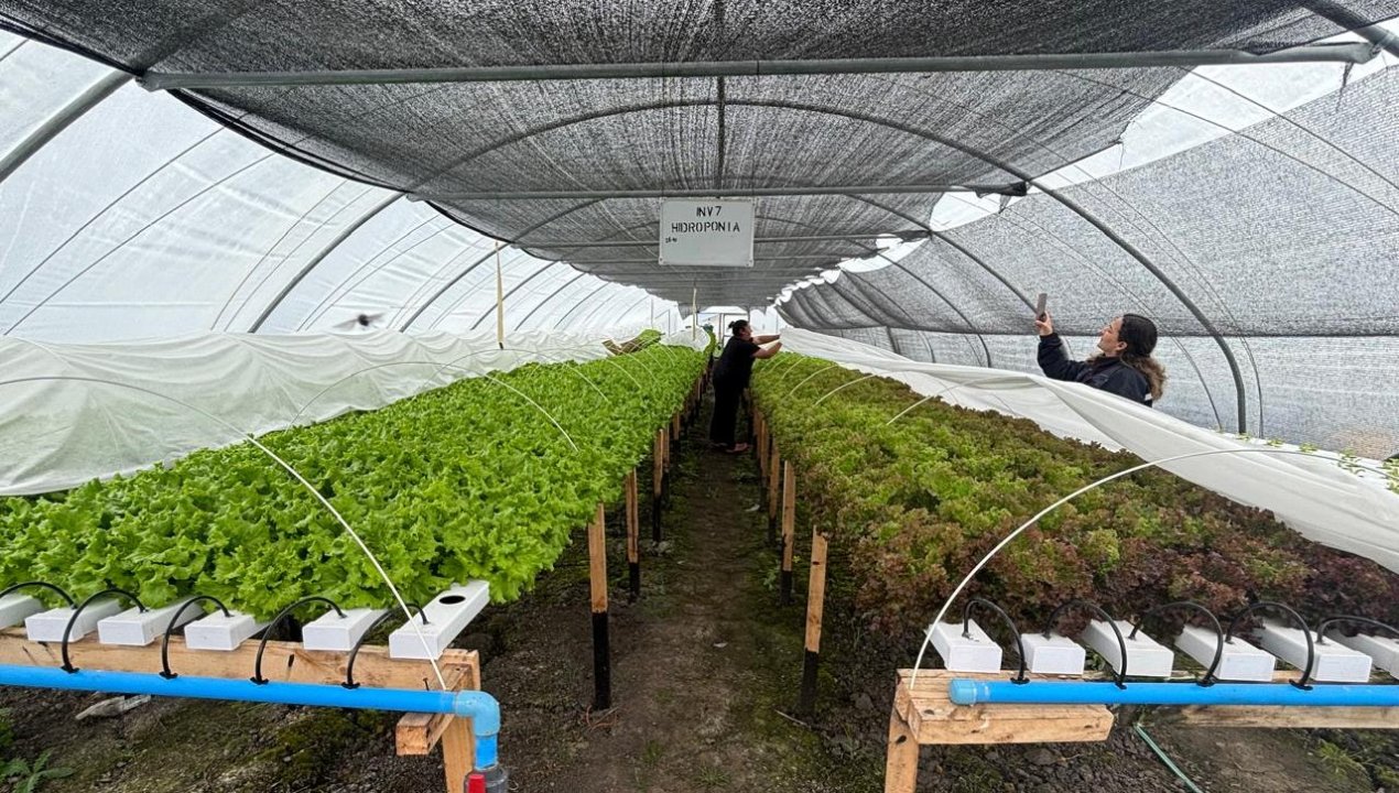 /pareja-de-agricultores-natalinos-demuestra-que-la-prevision-en-el-campo-se