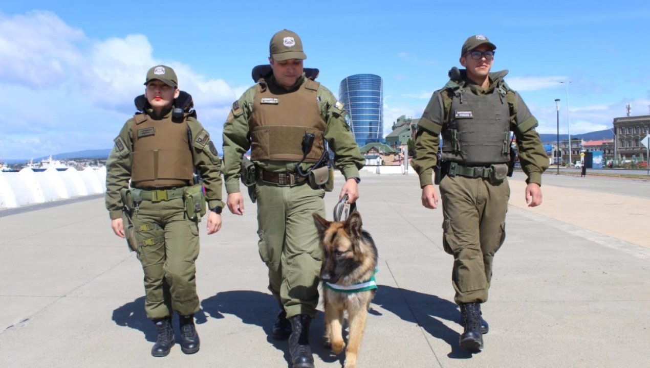 /carabineros-de-la-1-comisaria-punta-arenas-presenta-a-su-nuevo-can-de