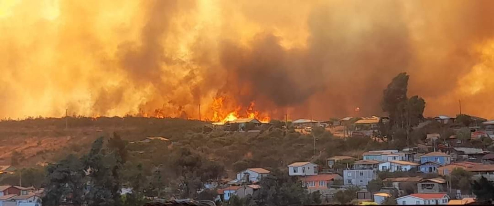 Llaman a evacuar sector de Limachito por incendio forestal: Al menos 20 casas afectadas