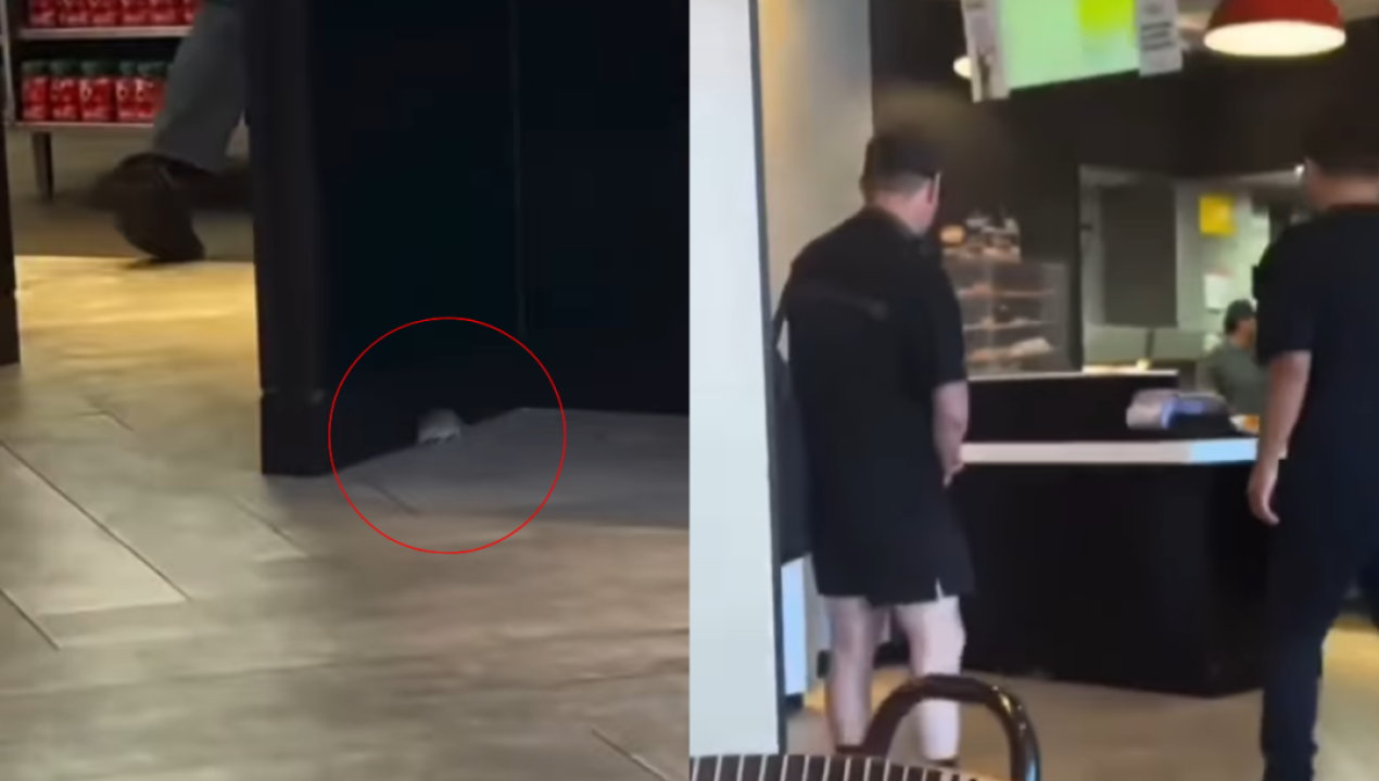 /regionales/raton-es-captado-al-interior-de-local-de-mcdonald-s-en-iquique