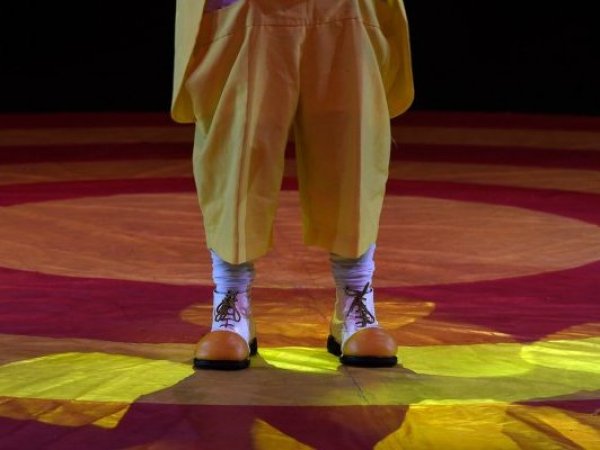 Unesco declara Patrimonio Inmaterial de la Humanidad al circo de tradición familiar de Chile