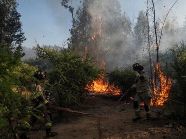 Biobío implementará toque de queda ante gravedad de incendios forestales