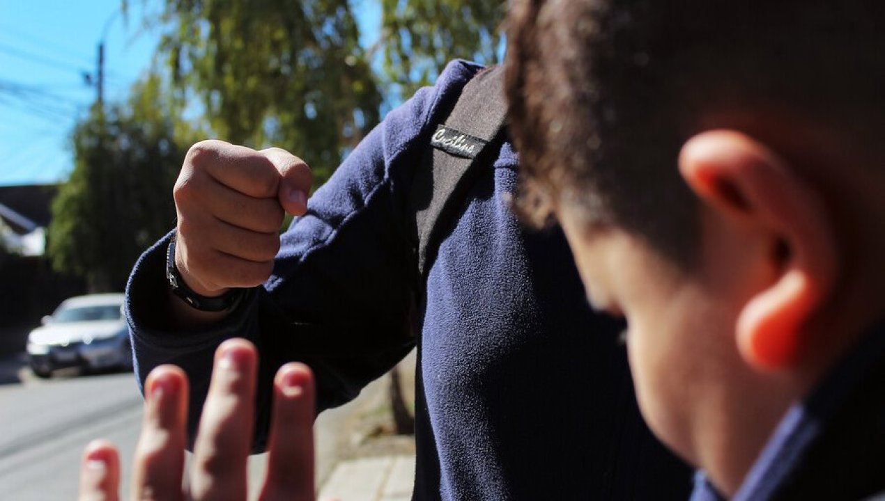 /actualidad/cadem-mayoria-respalda-sanciones-duras-por-violencia-y-prioriza-economia