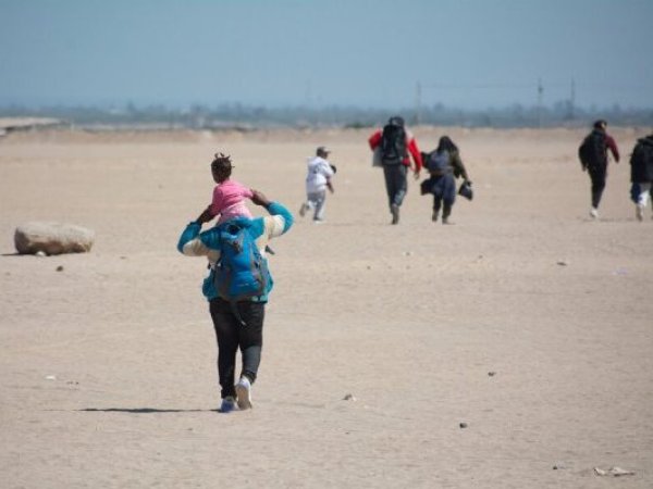 Gobierno concretó la expulsión de 80 personas en nuevo vuelo de control migratorio