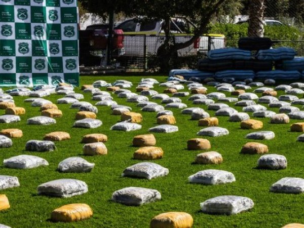 Histórico decomiso: incautan más de 100 mil kilos de droga escondida en contenedores madereros