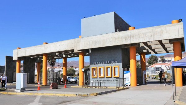 Universidad de Antofagasta concreta encasillamiento académico de su planta regular
