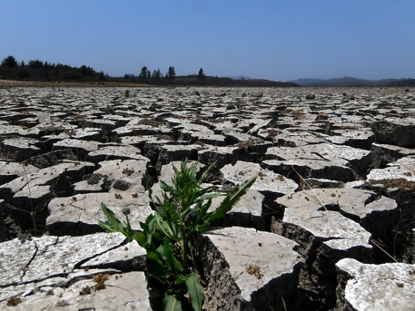 Agricultura sustentable es uno de los principales desafíos del Ministerio para 2021