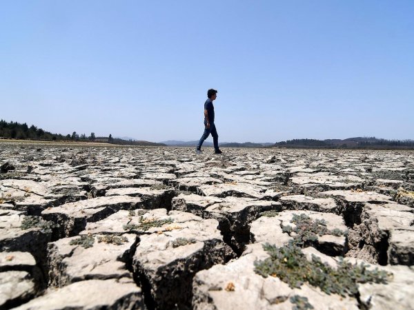 [Entrevista] ONG FIMA y urgencias climáticas en Chile: «Hay que hacer frente a la delincuencia ambiental»