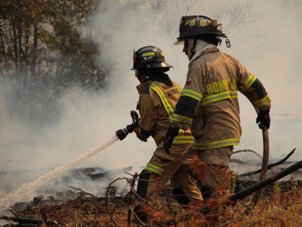 [Entrevista] Incendios forestales y Senapred: Un sistema «excesivamente centralizado»