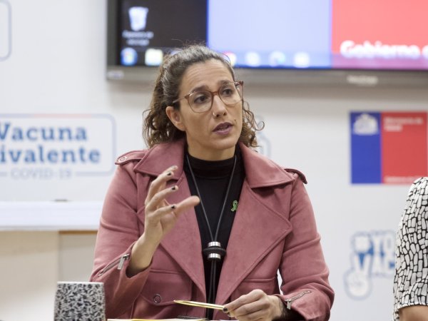 [Entrevista] Minsal por gripe aviar: «Si ve un animal muerto o enfermo, no lo toque, aunque sea su gallina de la casa»