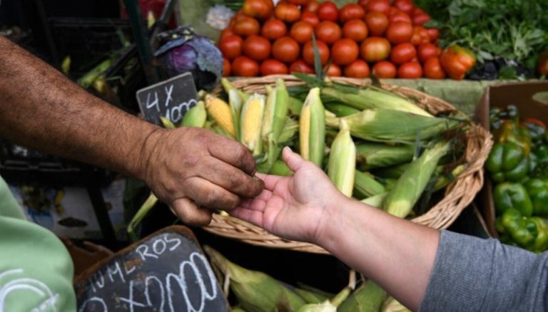 [Entrevista] Fiestas Patrias: Sociedad Nacional de Agricultura dice que no debiese haber alzas en precio de productos