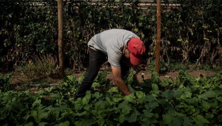 [Entrevista] Comisión Nacional de Riego: “El 70% del agua dulce está destinada para la agricultura”