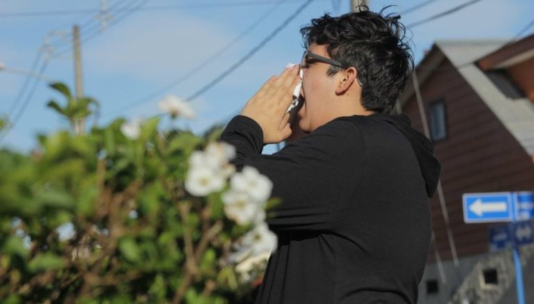 [Entrevista] Alergia estacional: «De diez pacientes que la tienen, tres pueden desarrollar enfermedad crónica»