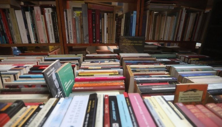 Mes del Libro: Ferias y actividades en distintas regiones de Chile