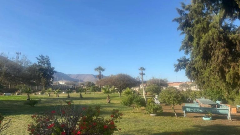 Antofagasta: Feria costumbrista en Parque Juan López celebrará la cultura y la gastronomía chilena