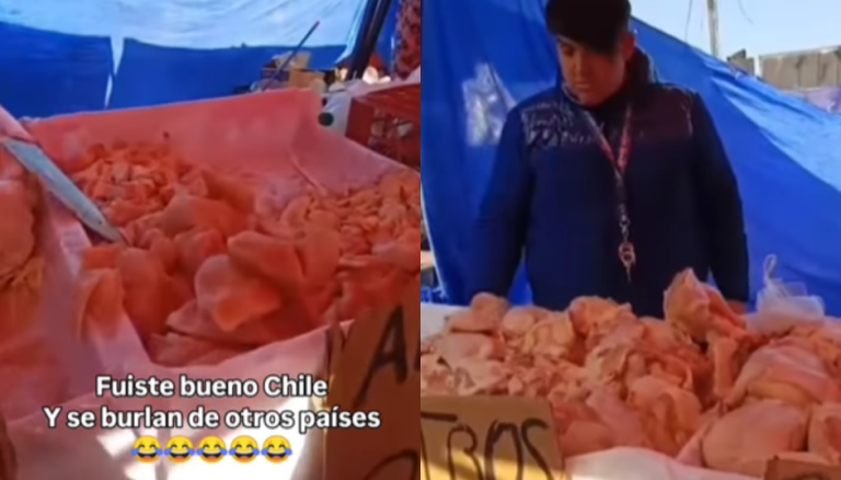 Sin refrigeración ni hielo: carnicerías en ferias chilenas desatan debate sanitario