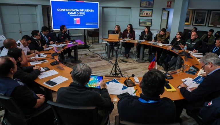 Municipalidad de Antofagasta activó trabajo preventivo por gripe aviar