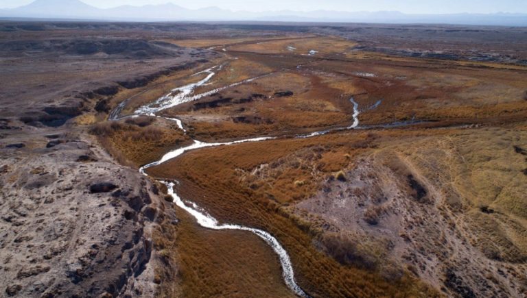 Consejo Regional de Antofagasta exigió promover la preservación y el cuidado del Río Loa y sus humedales