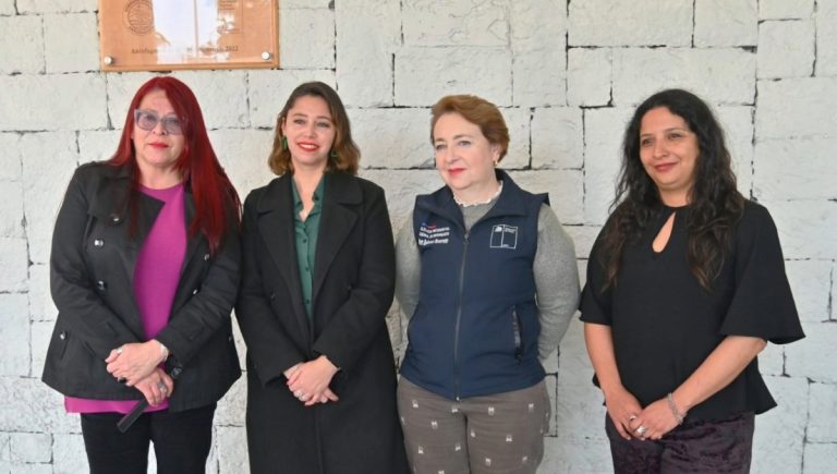 Región de Antofagasta: Seremi de la Mujer lanza campaña para para prevenir y erradicar la violencia de género