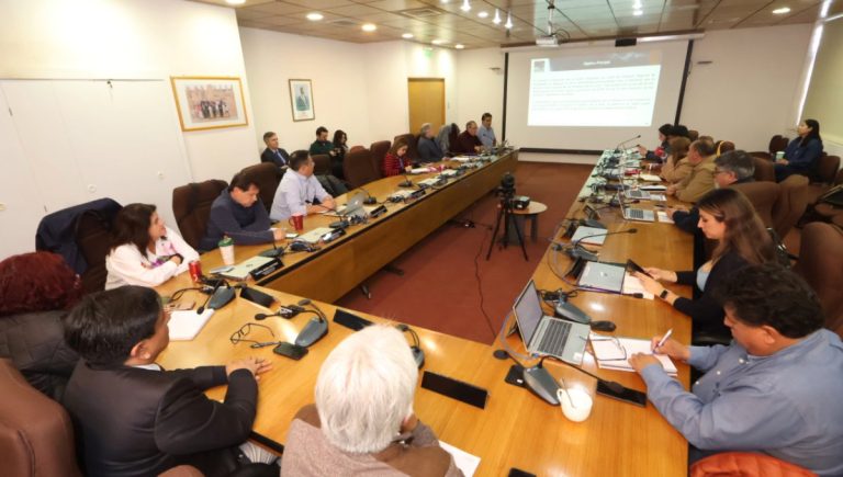 Fondos del litio: Gobernador Regional presentó al CORE programa para invertir los primeros $50 mil millones