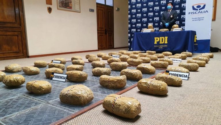 Más de 62 kilos de cannabis incautados en Antofagasta: Fiscalía y PDI desarticulan red de tráfico