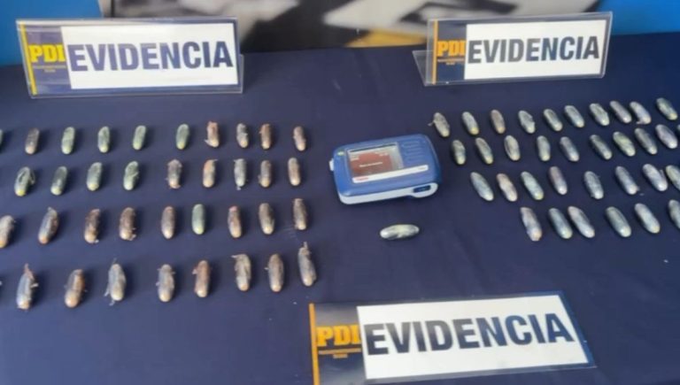Eficaz trabajo interinstitucional entre Aduanas y PDI permite detectar tráfico de drogas en frontera
