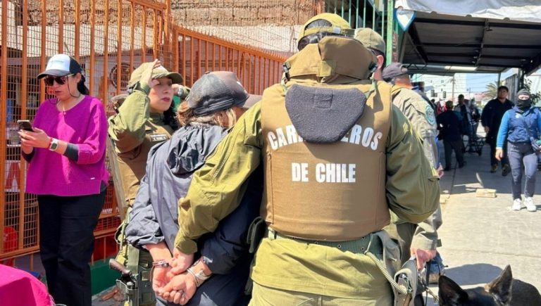 Fiscalización al comercio informal en la Vega de Antofagasta terminó con detención