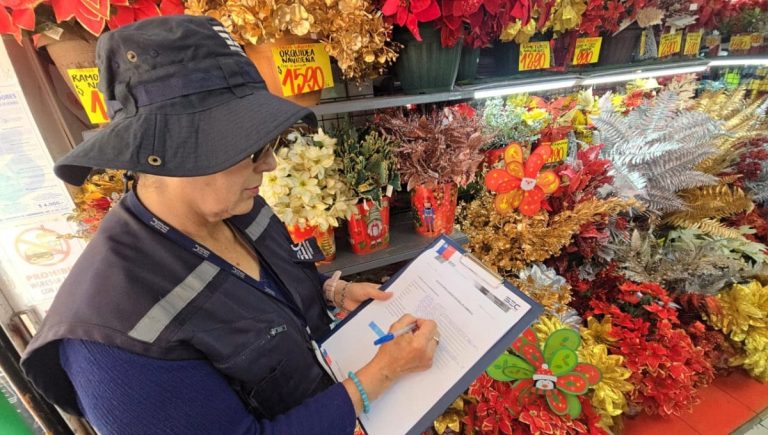 SEC fiscaliza venta de guirnaldas navideñas y llama a comprar solo productos certificados