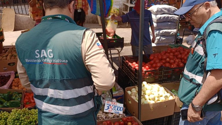 En nueva fiscalización en Feria de Las Pulgas: Inician sumarios sanitarios en contra de pescaderías