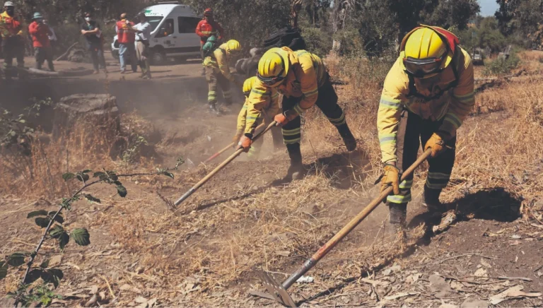 Antofagasta: municipio lanza campaña solidaria en apoyo a Ránquil tras incendios forestales