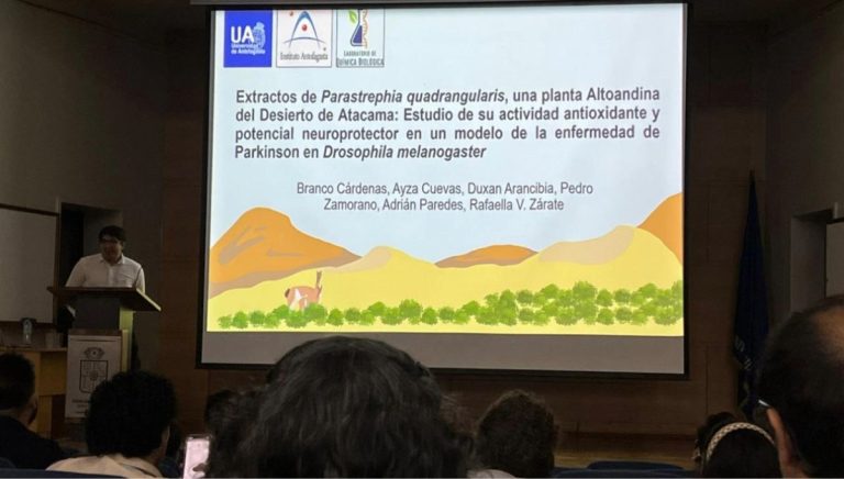 Presentan efectos de la flora altoandina en la enfermedad de Parkinson y de la ketamina en el cerebro