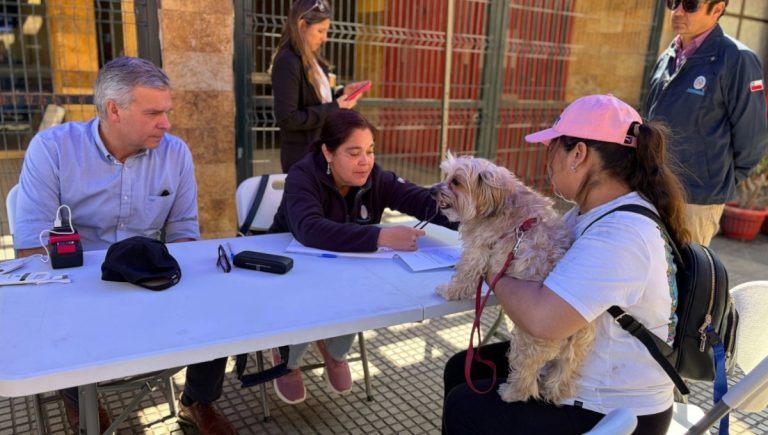 Municipalidad de Antofagasta llegará hasta Juntas de Vecinos para chipeo gratuito de mascotas