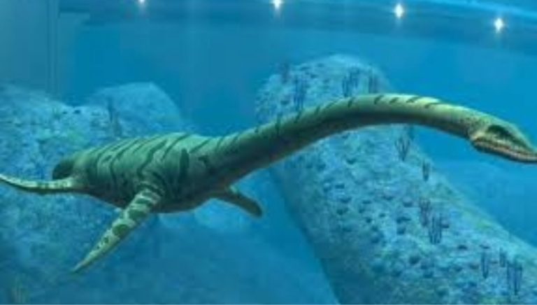 Descubren la primera especie de plesiosaurio Jurásico hallada en la Región de Antofagasta