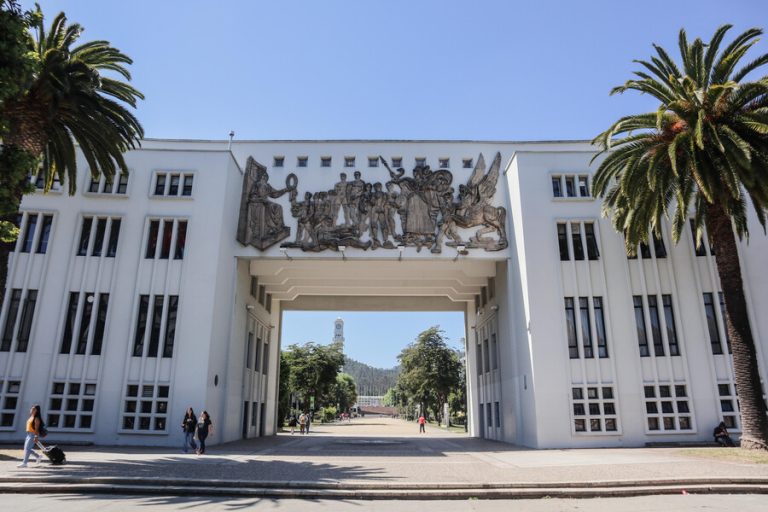 UdeC regalará árboles nativos en nueva jornada abierta a la comunidad
