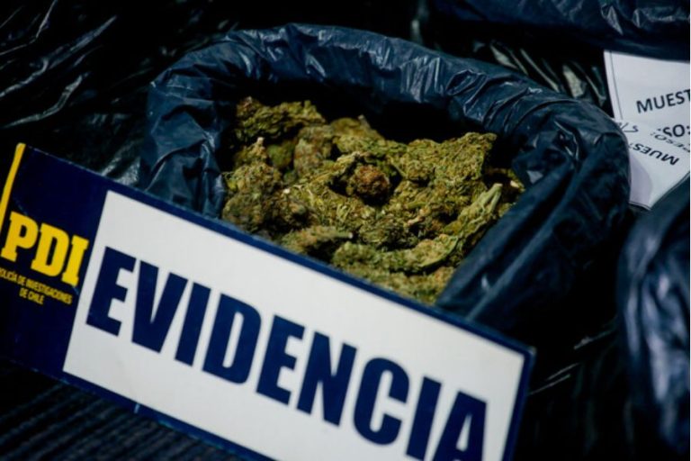 PDI incauta 12 mil dosis de droga y desarticula red de microtráfico en Los Vilos