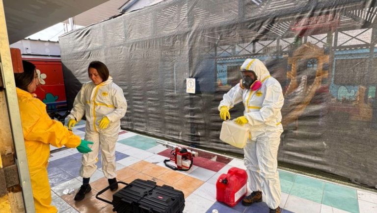 Alerta Aedes aegypti: Salud intensifica inspecciones y fumigaciones en Tocopilla