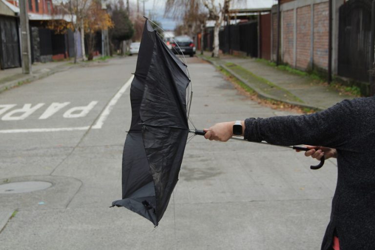 Alerta meteorológica: Anuncian rachas de viento de hasta 100 km/h en 3 regiones del sur de Chile