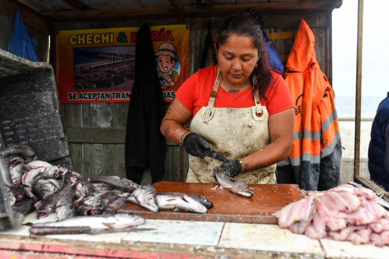 Nuevo proyecto de ley busca dar respaldo legal y estabilidad a mujeres de la pesca artesanal