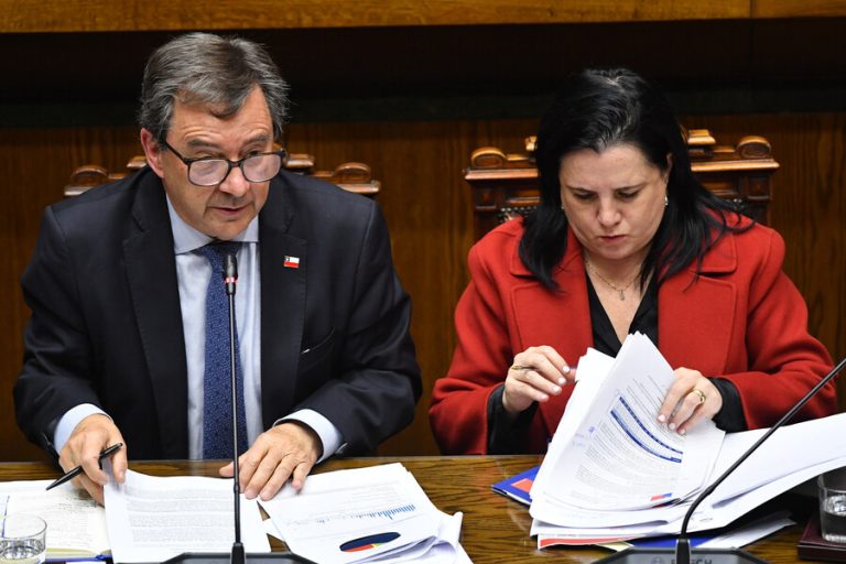 Oposición anuncia interpelación contra ministra de Seguridad Trinidad Steinert