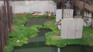 Antofagasta: Seremi de Salud allana sitio abandonado de calle Lord Cochrane