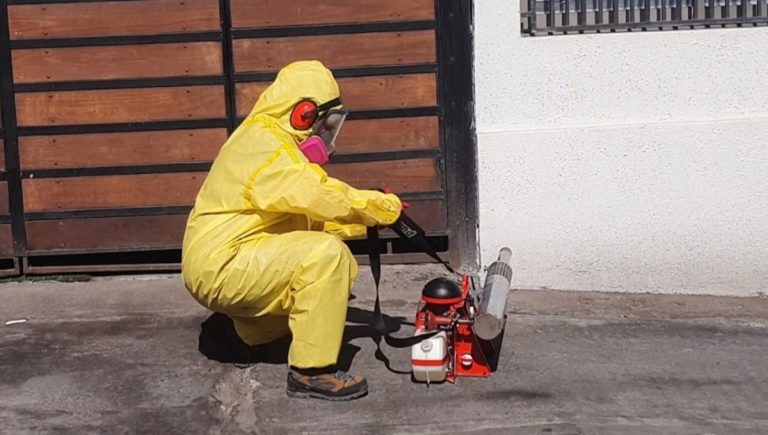 Antofagasta: salud concreta el hallazgo de 10 focos de mosquito del Dengue