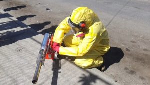 Búsqueda de Aedes aegypti: 12 focos identificados en Antofagasta