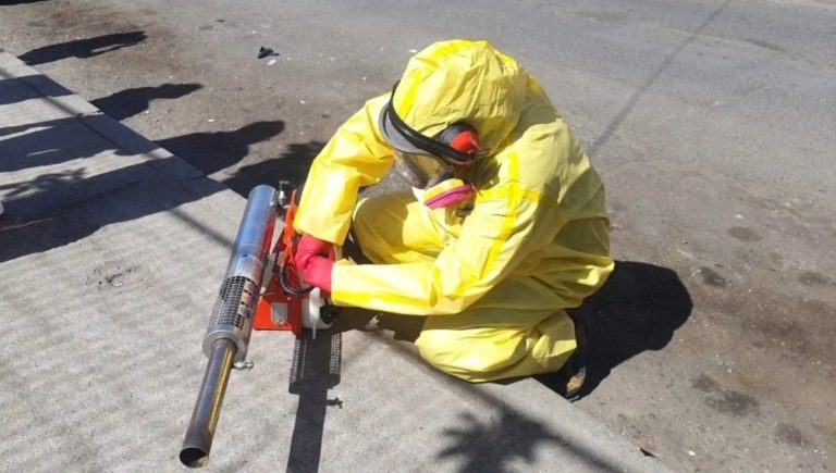 Búsqueda de Aedes aegypti: 12 focos identificados en Antofagasta
